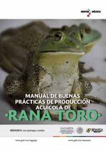 9_Manual_Producci_n_de_Rana_Toro