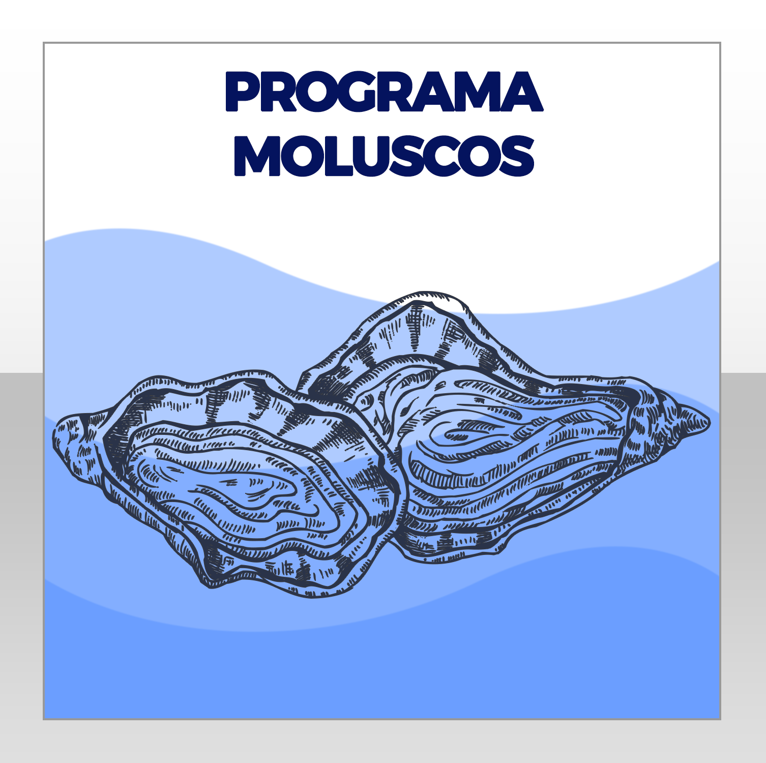 PROGRAMA DE MOLUSCOS